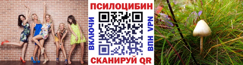 Галлюциногенные грибы мицелий  Дмитровск 